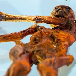 Steinzeitmensch «Ötzi»