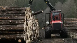 Landesforsten lösen Holzdepots im Harz auf