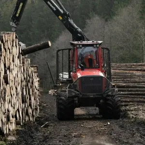 Landesforsten lösen Holzdepots im Harz auf