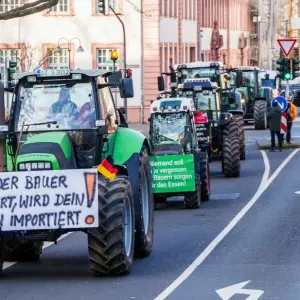 Bauernproteste in Mainz