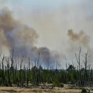 Waldbrand bei Jüterbog