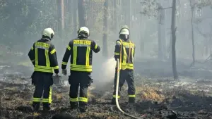 Wald- und Heidefläche brennt im Havelland