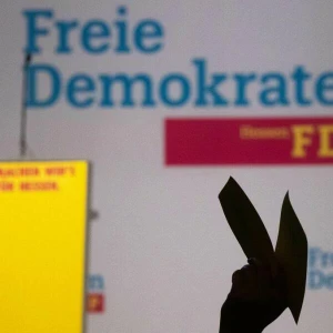 FDP - Symbolbild