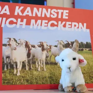 Kampagne für Brandenburg „Da kannste nich meckern