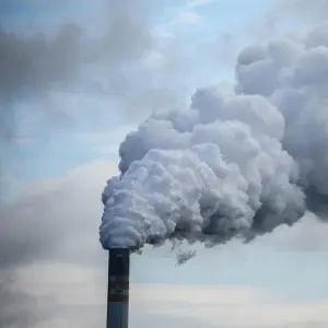 Geld verdienen mit CO2-Zertifikaten