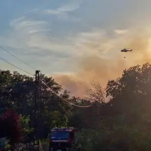 Waldbrand in Oranienbaum