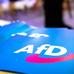 Fahne mit AfD-Logo