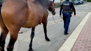 Freilaufendes Pferd an Bahnstrecke löst Polizeieinsatz aus