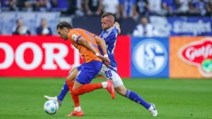 FC Schalke 04 - Darmstadt 98