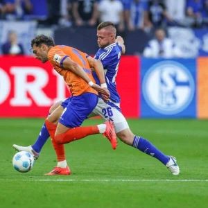 FC Schalke 04 - Darmstadt 98