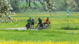 Fahrradfahrer auf dem Donau-Radweg