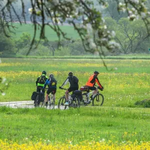 Fahrradfahrer auf dem Donau-Radweg