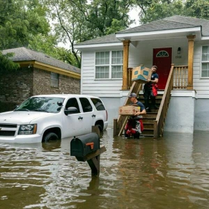 Tropensturm Debby - Georgia