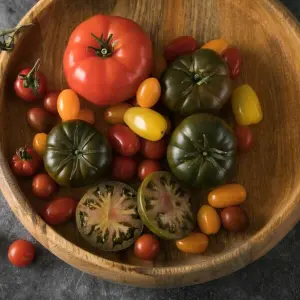 Verschiedene Tomatensorten liegen in einer Schale