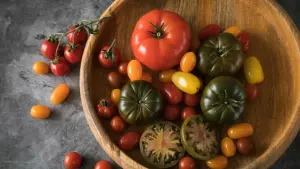 Verschiedene Tomatensorten liegen in einer Schale