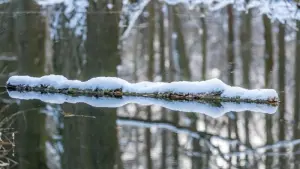 Wintereinbruch in Südbrandenburg