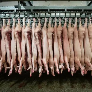 Fleischproduktion in Deutschland
