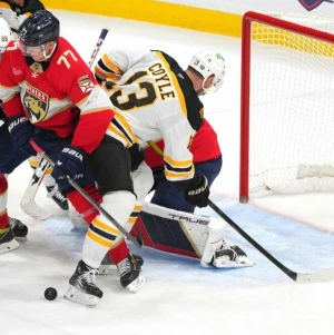 Florida Panthers - Boston Bruins