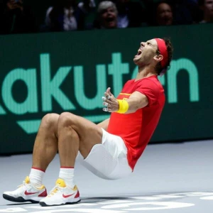 Davis Cup - Finale