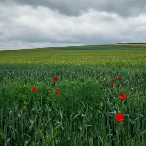 Wetter in Thüringen