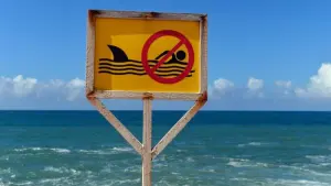 Surfer von Hai getötet