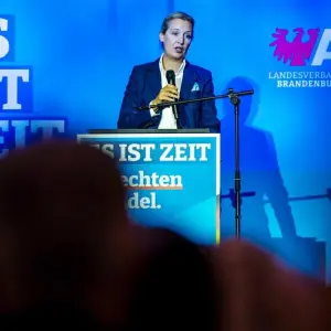 Wahlkampf der AfD in Brandenburg