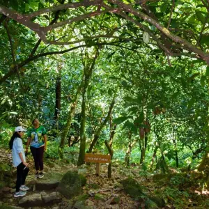 Wanderweg zum Wasserfall im Naturschutzgebiet Saltos del Jima