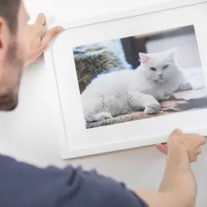 Ein Mann hält ein gerahmtes Bild einer Katze