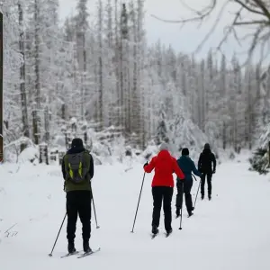 Wintersport im Harz