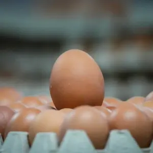 Braune Eier - Symbolbild