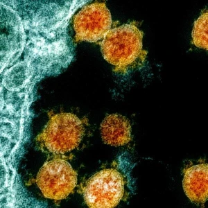 Coronavirus