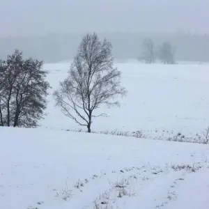 Wintereinbruch im Harz