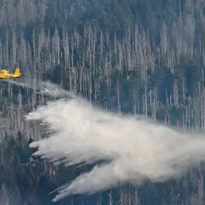 Großbrand am Brocken im Harz