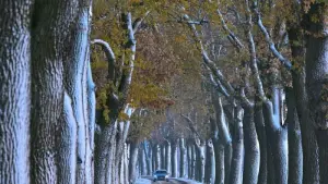 Winter in Brandenburg