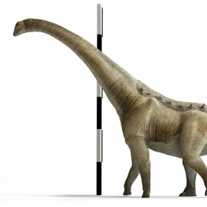 Neuer Langhals-Dinosaurier in Spanien entdeckt