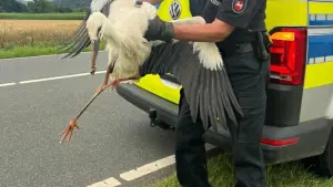 Polizei hilft Storch