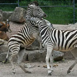 Eintrittspreise Zoos und Tierparks