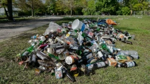 Flaschenmeer im Treptower Park nach dem 1. Mai