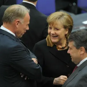 Merkel und Trittin