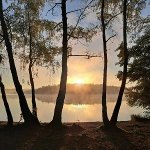 Morgennebel in Duisburg