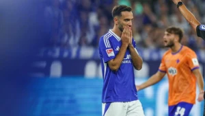 FC Schalke 04 - Darmstadt 98