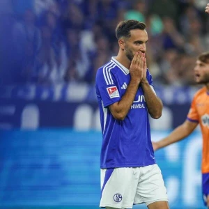 FC Schalke 04 - Darmstadt 98