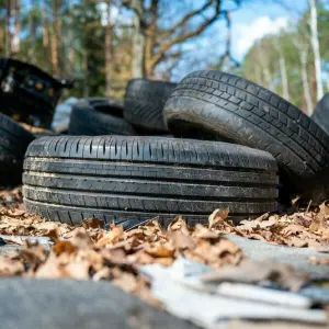 Illegale Müllentsorgung im Wald