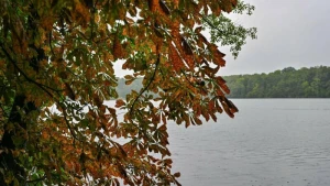 Regnerisches Wetter in Brandenburg