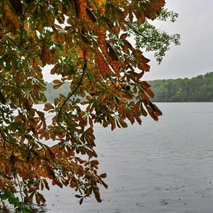 Regnerisches Wetter in Brandenburg