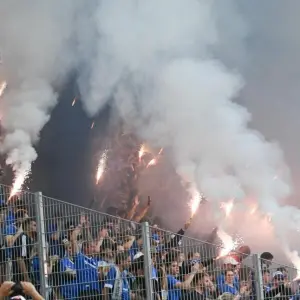 Fans von Darmstadt 98