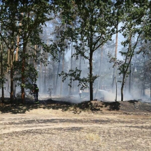 Waldbrand in Thüringen