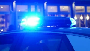 Streifenwagen mit eingeschaltetem Blaulicht