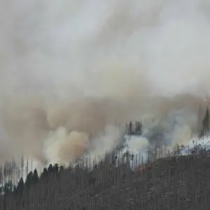 Brand am Königsberg im Harz