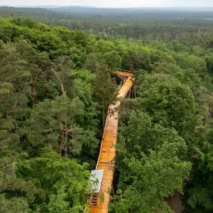 Baumwipfelpfad im Tiergarten Nürnberg